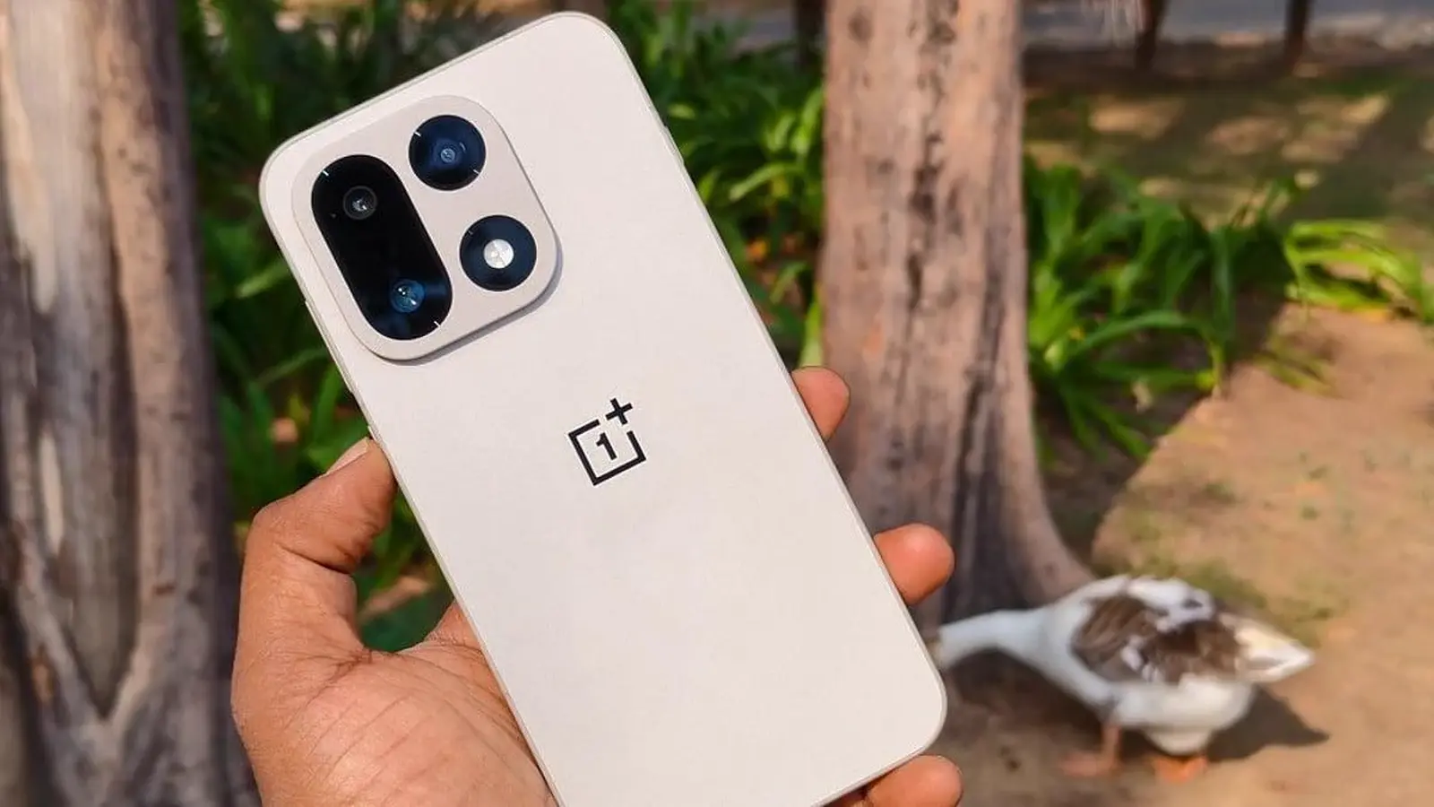 OnePlus 16 patvirtintas su 165 Hz ekranu ir Android 17
