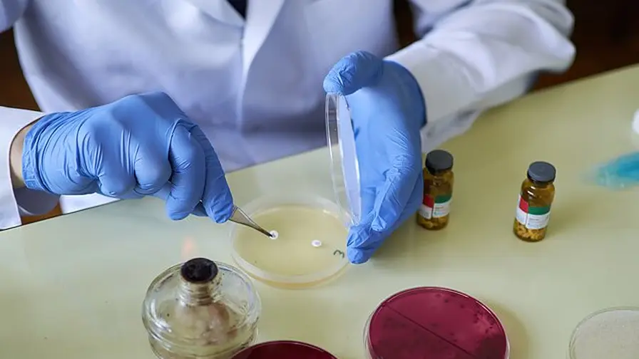 Lietuvos mokslininkai kuria greitesnį antibiotikų testą