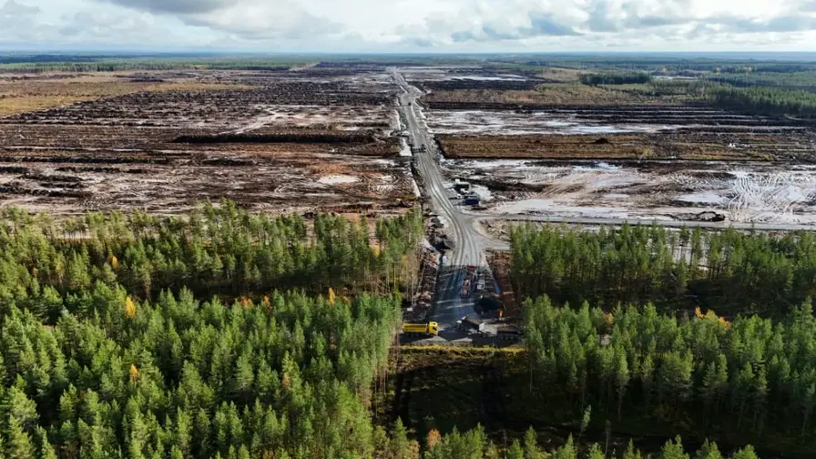 Google kaltinama neteisėtu miškų kirtimu Suomijoje